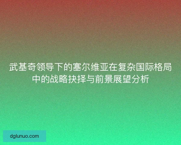 武基奇领导下的塞尔维亚在复杂国际格局中的战略抉择与前景展望分析 武基奇领导下的塞尔维亚在复杂国际格局中的战略抉择与前景展望分析