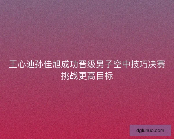 王心迪孙佳旭成功晋级男子空中技巧决赛挑战更高目标